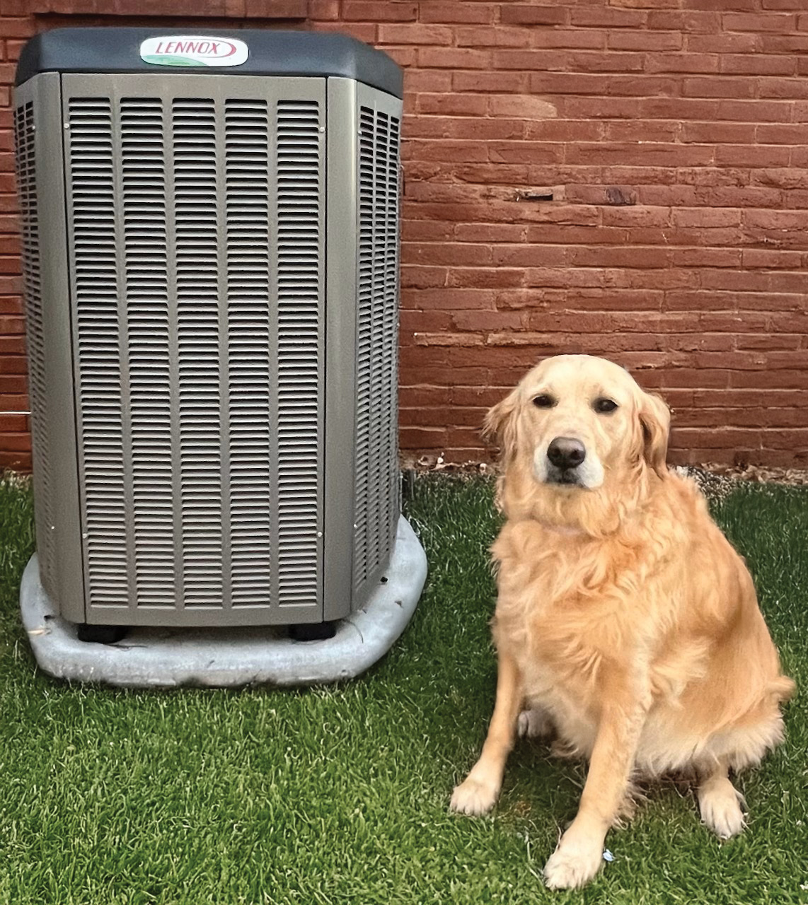 Maggie, the golden retriever, next to a Lennox AC unit Maggie, the golden retriever, next to a Lennox AC unit